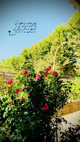 زندگیت ره از نو بساز ❤️#foryou #like #follow #تاجیک_هزاره_ازبک_پشتون_ترکمن🇦🇫For #fyppppppppppppppppp