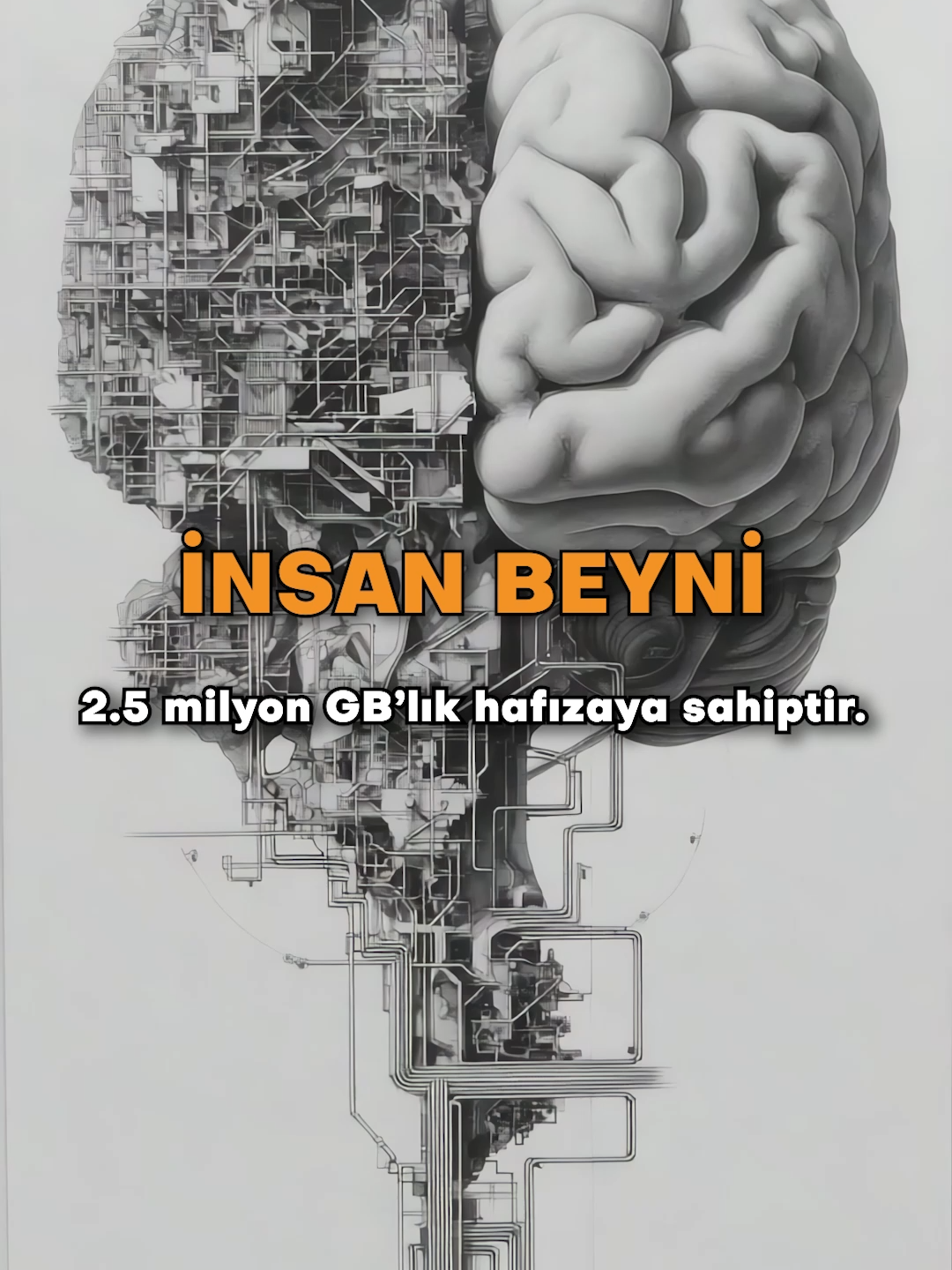 İnsanı sudan yaratıp, onu soy ve evlilik bağlarıyla büyük bir nesil hâline getiren de O'dur. Senin Rabbinin gücü her şeye yeter. Bize bunca nimeti veren Rabbimize ibadet etme vakti hâlâ gelmedi mi ? 2388r
