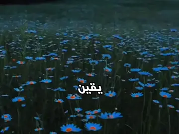هاي المره بس قصايد🙂 دللي يقين💋 #قصائد_حسينيه #باسميه_عشاق_باسم_الكربلائي_باسميات #fyp #اكسبلور #مالي_خلق_احط_هاشتاقات🦦 