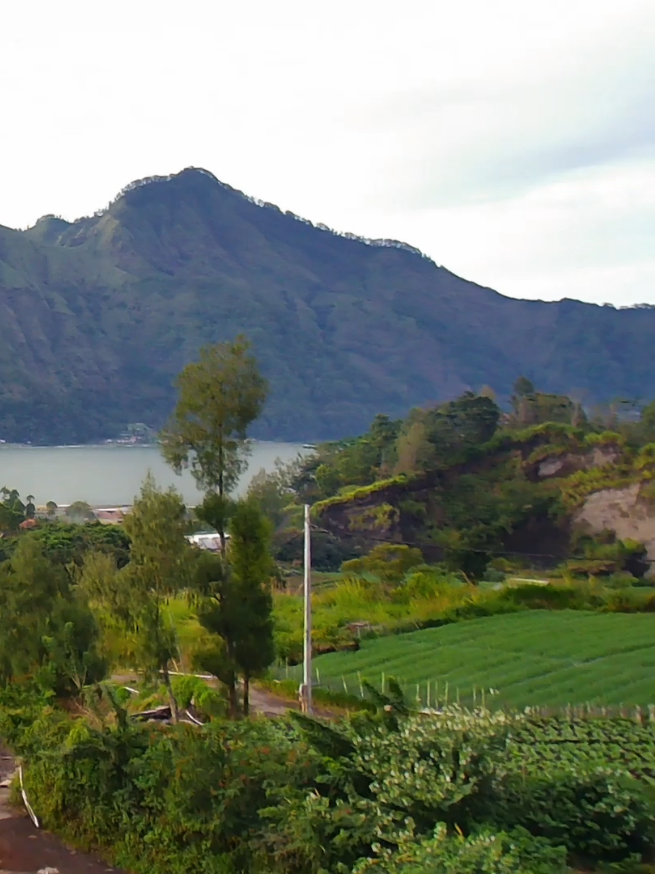 glamping kintamani #glampingkintamani #kintamani #videodrone #djineo #bali 