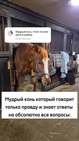Хочешь постоянную скидку 20%? Подпишись на все наши сообщества 😉 @studentu_ru ВК, instagram, tiktok, Telegram #мем #студент #сессия #курсовая #дипломная #вкр #диплом #помощьстудентам #общага #антиплагиат #РЭУ #МГИМО #МГУ #РАНХИГС #МГОУ #КФУ #учеба #1курс #2курс #3курс #4курс #5курс #студентмедик #универ