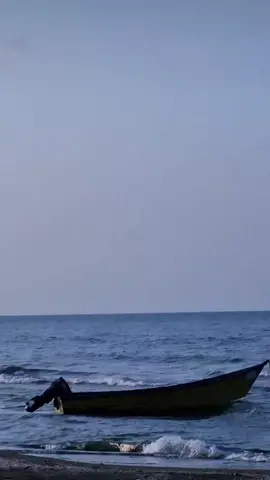 ولی ای کاش واقعن میمردیم و نمی‌دیدیم...