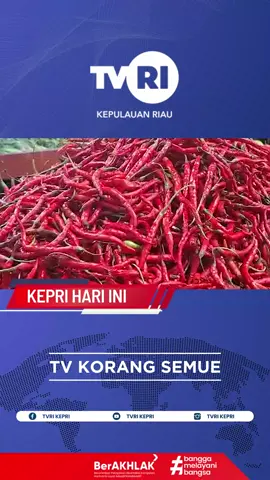 Harga Cabai Merah Tembus Rp88 Ribu/Kg! Bukan cuma cabai, sayuran lain pun ikut naik di Tanjungpinang. 🥬🍗 Apa penyebab lonjakan harga ini? Dan bagaimana dampaknya bagi pedagang dan masyarakat? 🤔 📺 Saksikan liputan lengkapnya di TVRI KEPRI – Kepri Hari Ini 🕑 Tayang jam 14.00 WIB! #TVRIKEPRI #KepriHariIni #HargaCabai #tanjungpinang 