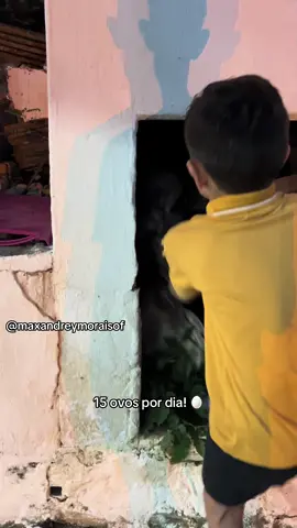Essa aqui eu não vendo não! 🤣 #max #nordestino #fyp #nordeste #boraquebora 