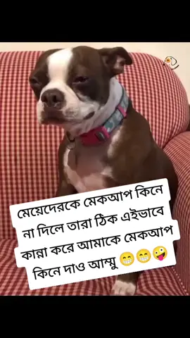 #সাপোর্ট_করলে_সাপোর্ট_পাবে #ফানি_ভিডিও😀😀😀😳মজা @Tik Tok Bangladesh @TikTok #foryou #foryourpage #vairalvideo 