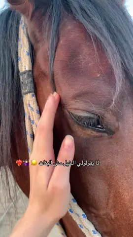 زولك يبوني نسيبه 🙂‍↔️❤️‍🔥#fypシ゚ #خيل_وخياله🐎 #fyyyyyyyyyyyyyyyyyyy #ليبيا🇱🇾طرابلس❤️🇱🇾بنغازي❤️🇱🇾_مصراتة_غريان #فرسان_ليبيا 