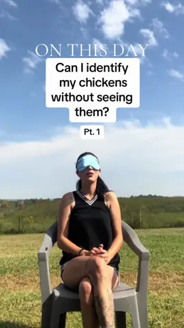 #onthisday I outted myself with just how much time I spend around them 😆 - - - #chickens #farm #cuteanimals #viral 