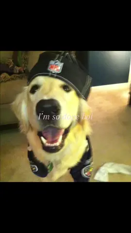I’m so dope boi #dog #cat 