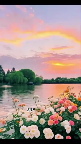 عندما يتولي امرك الله سينبت لك من شقوق الضيق فرجا 🤲🕊🤍 #حكمه_اليوم  #حكمة_أعجبتني  #اقوال_وحكم_الحياة_ونصائح  #fypシ゚viral🖤tiktok☆♡🦋myvideo🤗foryou  #مشاهداتكم⬆️⬆️⬆️⬆️⬆️⬆️ 