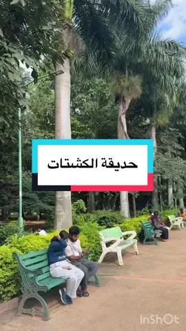من الحدائق المحلية الجميلة والضخمة في بنغلور وقريبة جداً من فندق JW Marriott ومول UB City mall #الهند #الهند🇮🇳 #بنغلور   #bangalore #india 