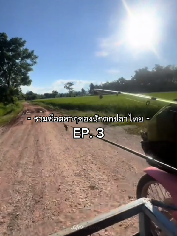 รวมช็อตฮาๆ ep3 | ตู้ๆทางนี้ไม่ดี #ฟีดดดシ #ตกปลา #นักตกปลา #fyp #foryou 