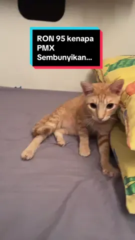 RON 95 kenapa PMX Sembunyikan…