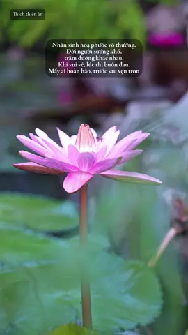 Chùa phật quang - Thôn Tân Phong  - Xã Tân Thanh - Tỉnh Ninh Bình ( Hà Nam Cũ ) #thichthienan 