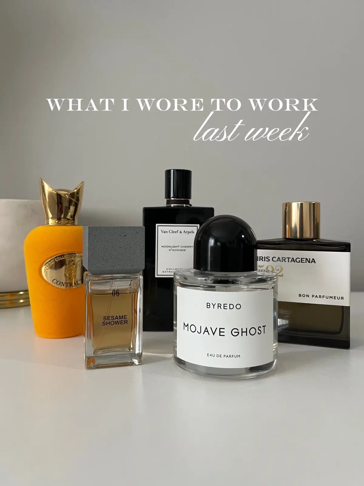 Perfumes I reached for this past week ✨ @CONCRETED @BYREDO @Van Cleef & Arpels @Bon Parfumeur @Sospiro Parfum  #weeklyperfumerotation #perfumetok #fragrancetiktok 