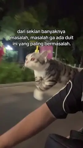 clips aslinya di @pheobinmacca #kucinggemoy #quoteoftheday #malam #fyppppppppppppppppppppppp 
