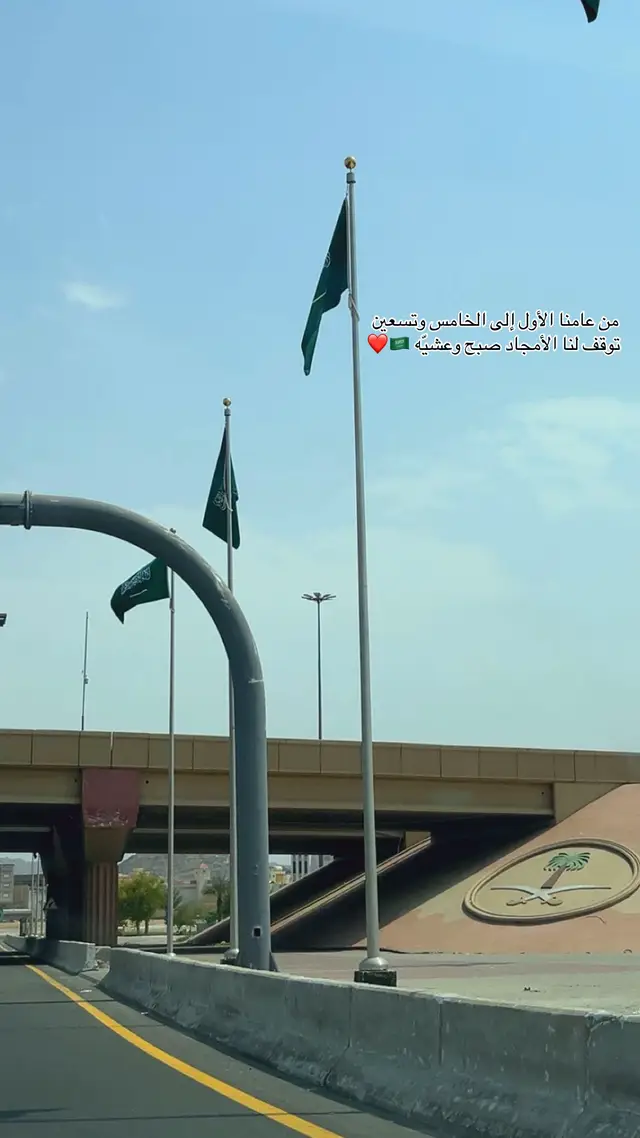 #اليوم_الوطني_95 #المملكة_العربية_السعودية 