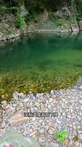 Share your fishing tips!  . .  BEST FISHING | VIDEO FISHING| AMAZING FISHING VIDEO | CHINA FISHING  . . . #fishing #fishinglife  #bassfishing #fishingtrip!#fishinglife_bd 