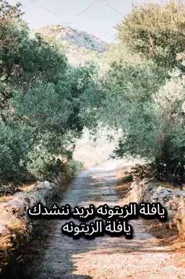 #يافلة_الزيتونه_نريد_ننشدك 