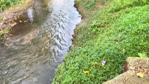 জায়গাটা সুন্দর 😌🖤