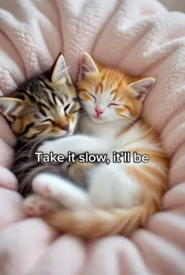 Take it slow, it’ll be more beautiful.❤️ #funnyvideos #kitty #funny #cattlover 