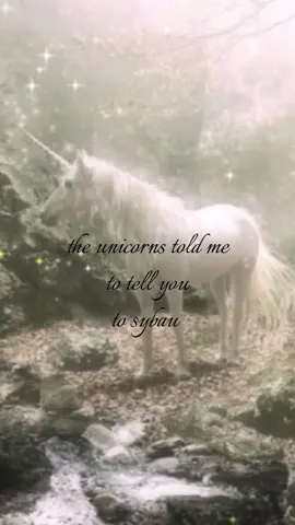 #sybau #sparkleunicorn22 #me 