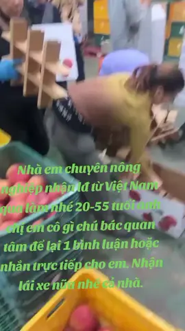 #nongnghiep #xkld #hanquoc #laixe #xuhuong2025 Quan tâm liên hệ em nhé