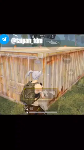 #tdm #tdmstyle 
