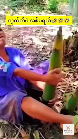 အသွားမတော် တလှမ်း အစားမတော် တလုတ် အချိုး မတော်တော့🫢🤔🫣 #မြင်ပါများလို့ချစ်ခင်ပါစေ 