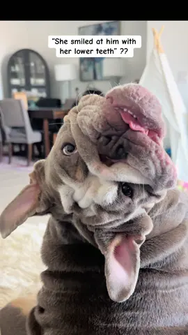 Loved it so much we did it again. #dogsoftiktok #doglover #PetsOfTikTok #englishbulldog 