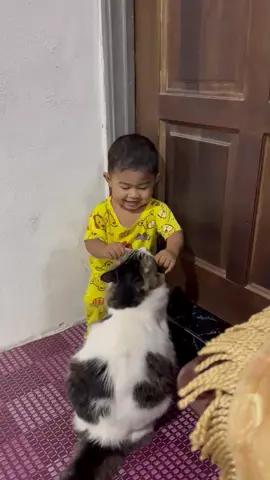 Kes Kena buli dgn bdk tecik.. Mon pasrah.. Abihla misai ensem dia #healing #kucinglucu #kucing #kucinggemuk #fypシ 