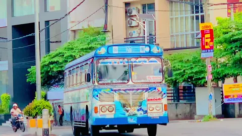 පලතුරු කඩේ HiT ම ඒවා 🍎 ND 