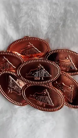 The 1 - pressed penny PINS! . . . #taylorswift #the1 #erastour #taylorswiftpins #folklore 