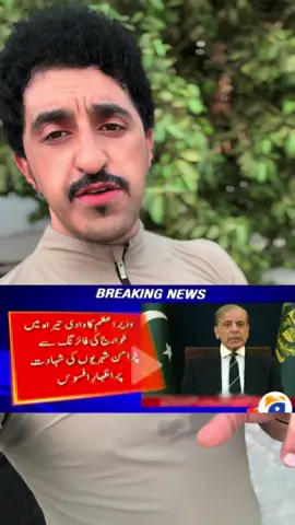 اب اس اردلی کی بات بھی سن لو!!!#fyp #tik_tok #pakistan @Noori Mirza 80 