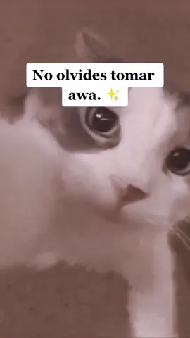 Para esa niña que se le olvida tomar agua 🙄🫠 #paratii #paradedicar  