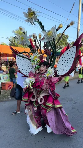 Terimakasih untuk semua pihak yang sudah berpartisipasi dalam penampilan Ayesha 🙏 Kostum Buah naga by Pemdes Bulurejo