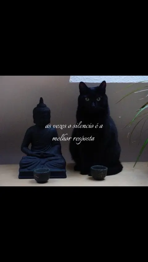 #filosofia #gato #buda 