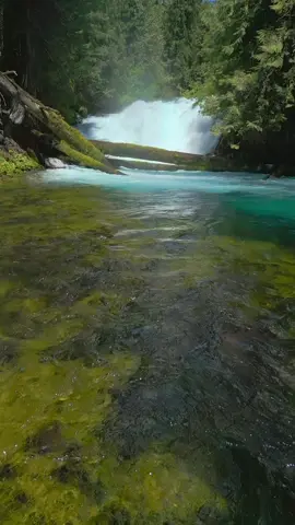 Believe it or not, this stunning waterfall doesn’t have an official name—it’s simply considered one of the many “cascades” along Oregon’s incredible McKenzie River. With turquoise water rushing powerfully downstream, mossy logs, and lush forest all around, it’s one of those hidden treasures that makes the McKenzie such a magical place to explore 😍