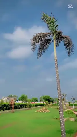 pesoo jam  ahee 💸💸💸 #viralvideo🔥 #viral?tiktok🥰 #foryoupage #plzunfrezemyaccount #support_me @⚡ 𝗦𝗔𝗤𝗜𝗕 ⚡ 