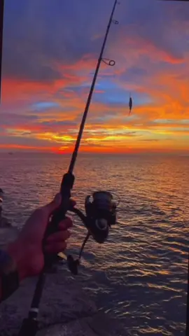 Mancing mania