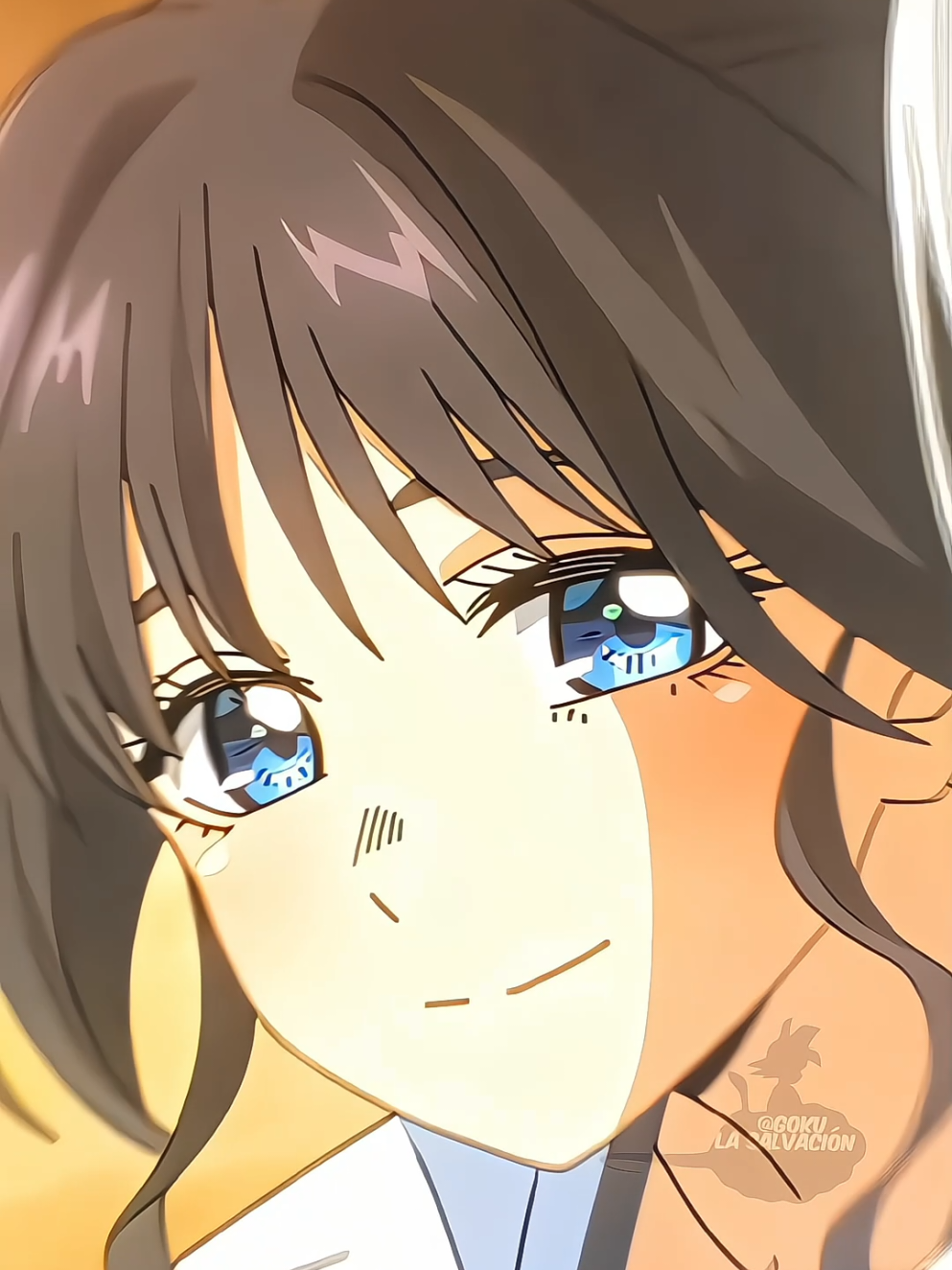 NO SE - El Clon  #gokulasalvacion #kaoruhanawarintosaku #wagurikaoruko #dedicarvideos♡ #Anime 