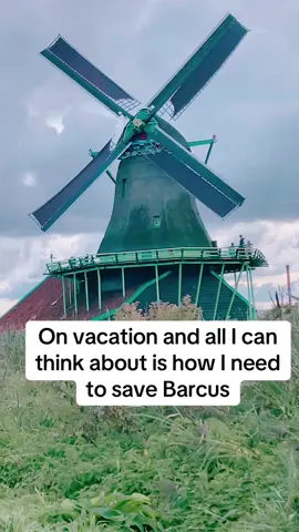 #baldursgate3 #windmill #amsterdam #netherlands #travel 