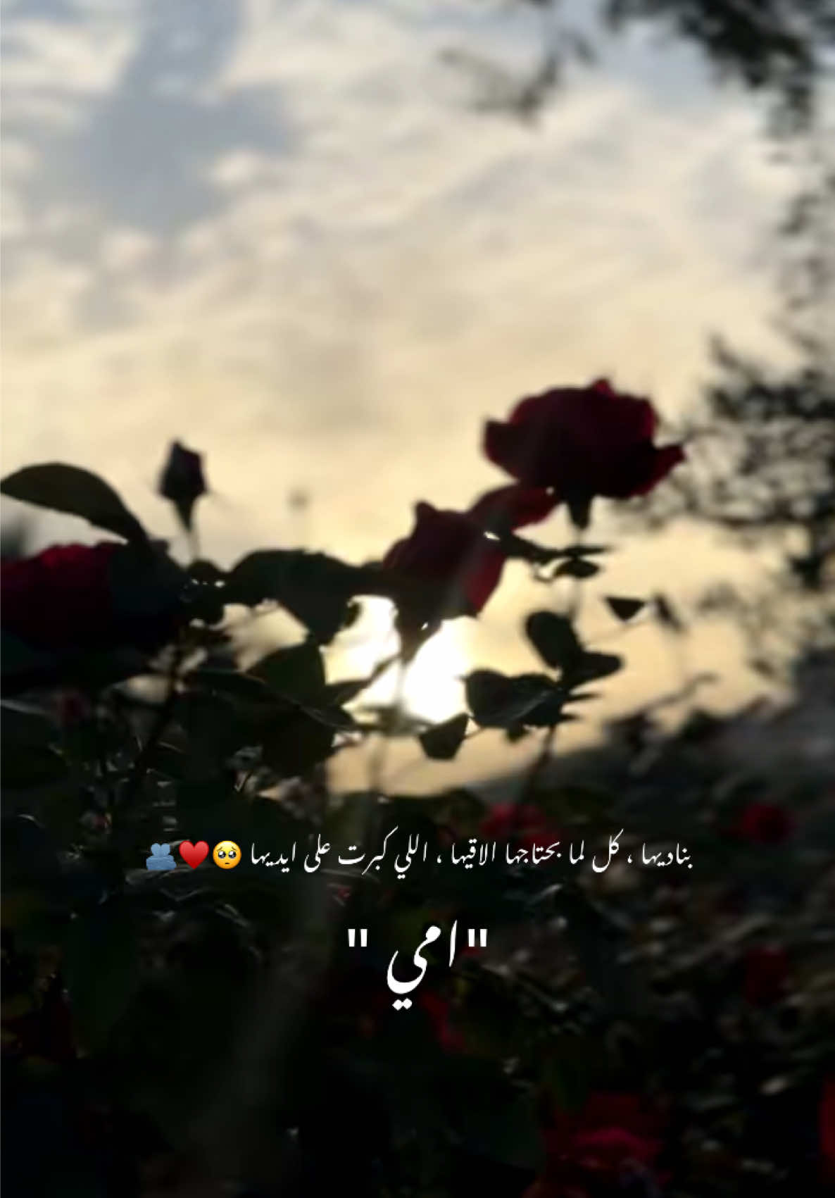 امي  ♥️🫂🫶 بناديها ، كل لما بحتاجها الاقيها ، اللي كبرت على ايديها  #امي #mum #mather 