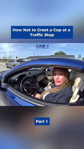 Part 1 | How Not to Greet a Cop at a Traffic Stop  #cops #bodycamcops #police 