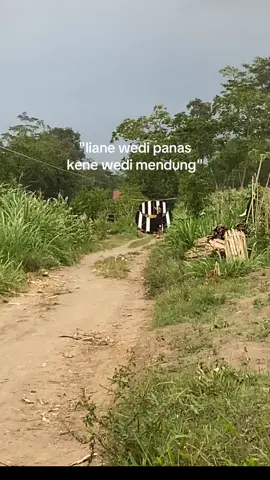 setting sek bolo🙌#layanganblitar #ludoyonan#masukberandafyp #blitar24jam #semualayangangapangan 