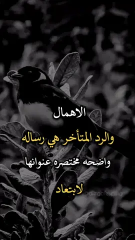 #عباراتكم_الفخمه📿📌 #افضل_عبارة_لها_تثييت #اجمل_عبارة_راح_ثبتها📌 #عبارات 