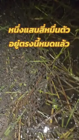 #ก็เยอะเกินบางที #ดันขึ้นฟีด #เปิดการมองเห็น #tiktok 