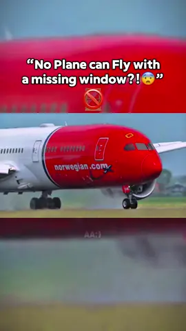 W Pilots!😱😍🥳 #aviation #airplane #planecrash 