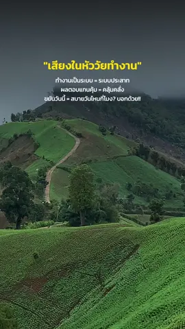 #สตอรี่ความรู้สึก #เทสระบบ #วิวสวย #ธรรมชาติ #หัวจะปวด 
