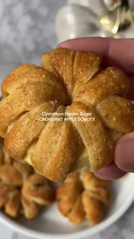 Croissant Apple Donuts🍎 They taste like a cross between apple pie & a croissant donut | the perfect sweet treat or snack! Ingredients 3 small apples, peeled 2 Tbsp butter, melted 2 Tbsp brown sugar 1 tsp cinnamon 1 tube crescent/croissant dough Instructions Slice apples into thick rings, about ½ inch. Use a small round cutter or knife to remove the core and create “apple donuts.” In a small bowl, mix melted butter with brown sugar & cinnamon. Cut the crescent dough into strips and wrap around each apple ring, overlapping slightly. Place on baking sheet, brush tops with brown sugar butter & bake at 350°F for 15 minutes, or until golden brown. Brush extra butter on top & enjoy warm. #Recipe #croissants #snacks #EasyRecipe 