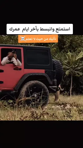 #الذئب_الوحيد  #الذئاب_وحياةالجبال  #عباراتكم_الفخمه📿📌  #اكسبلورexplore  #المافيا_السوداء🕸🖤 